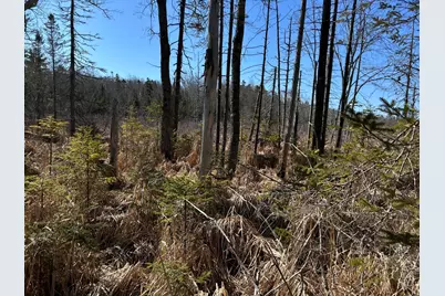 365 Cushing Road, Cushing, ME 04563 - Photo 10