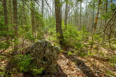 Lot 9 Bluff Road, Bar Harbor, ME 04609 - Photo 16