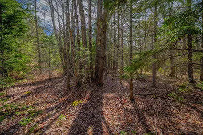 Lot 9 Bluff Road, Bar Harbor, ME 04609 - Photo 20