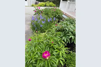 299 Gates Road, Jefferson, ME 04348 - Photo 94