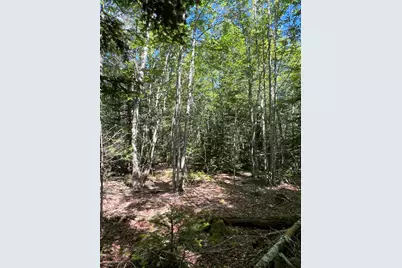 M34, L40 Hinckley Ridge Road, Blue Hill, ME 04614 - Photo 4