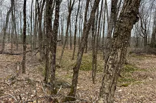 242 Bottle Lake Rd, Springfield, ME 04487 - Photo 42