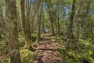 47 Cove Rd, Lincoln, ME 04457 - Photo 70