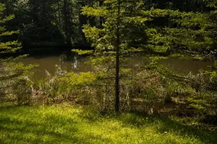352 Harriman Point Rd, Brooklin, ME 04616 - Photo 16