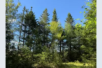 1175 Us-1, Robbinston, ME 04671 - Photo 140