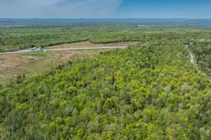 1824 Stateline Rd, Alexander, ME 04694 - Photo 2