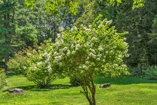 53 Mill Rd, North Yarmouth, ME 04097 - Photo 24