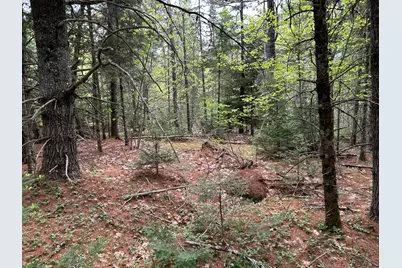 M1L15 Eastbrook Road, Eastbrook, ME 04634 - Photo 32