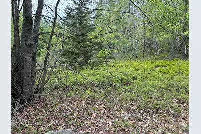 M1L15 Eastbrook Road, Eastbrook, ME 04634 - Photo 26