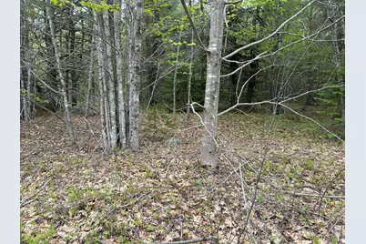 M1L15 Eastbrook Road, Eastbrook, ME 04634 - Photo 24