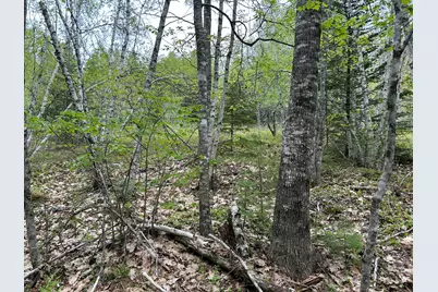 M1L15 Eastbrook Road, Eastbrook, ME 04634 - Photo 6