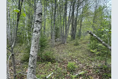 M1L15 Eastbrook Road, Eastbrook, ME 04634 - Photo 14