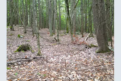0 Osprey Point, Belgrade, ME 04917 - Photo 20