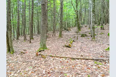0 Osprey Point, Belgrade, ME 04917 - Photo 12