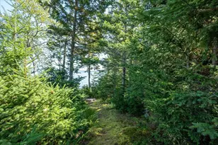 1591 Turtle Head Rd, Islesboro, ME 04848 - Photo 64