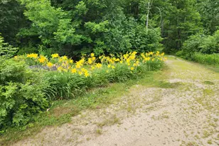 286 Staples Hill Rd, Canton, ME 04221 - Photo 84