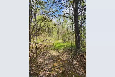 286 Staples Hill Road, Canton, ME 04221 - Photo 64
