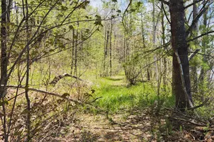 286 Staples Hill Rd, Canton, ME 04221 - Photo 64