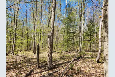 286 Staples Hill Road, Canton, ME 04221 - Photo 72