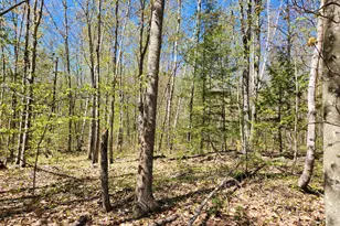 286 Staples Hill Rd, Canton, ME 04221 - Photo 72