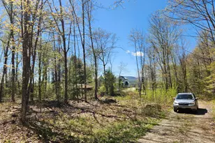 286 Staples Hill Rd, Canton, ME 04221 - Photo 74