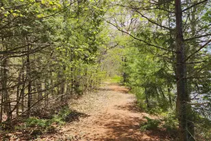 286 Staples Hill Rd, Canton, ME 04221 - Photo 64