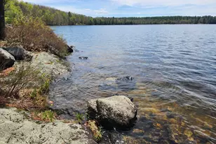 286 Staples Hill Rd, Canton, ME 04221 - Photo 10