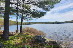 286 Staples Hill Rd, Canton, ME 04221 - Photo 12