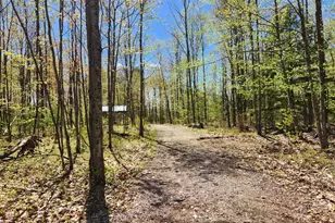 286 Staples Hill Rd, Canton, ME 04221 - Photo 70