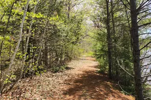 286 Staples Hill Rd, Canton, ME 04221 - Photo 56