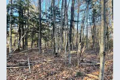 0 Cross Street, Manchester, ME 04351 - Photo 38