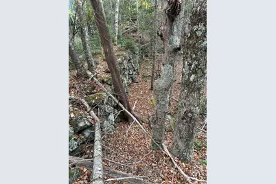 M15 L23 Varnumville Road, Brooksville, ME 04617 - Photo 20