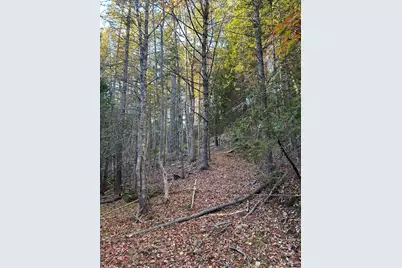 M15 L23 Varnumville Road, Brooksville, ME 04617 - Photo 18