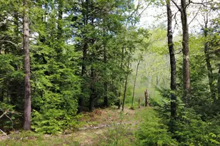 41 Fishtown Rd, Liberty, ME 04949 - Photo 1