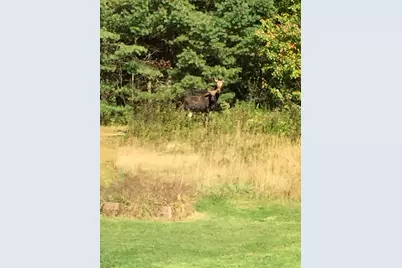 44 Holmes Lane, Cushing, ME 04563 - Photo 8