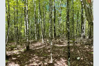 Lot34I Scammon Road, Greenville, ME 04441 - Photo 2