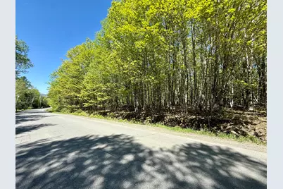 Lot34I Scammon Road, Greenville, ME 04441 - Photo 6