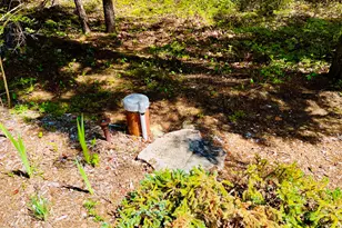 55 Bayview Dr, Tremont, ME 04612 - Photo 70