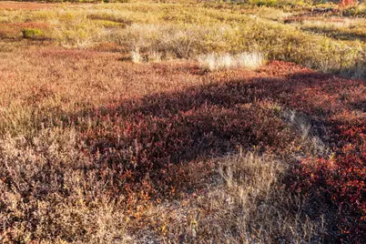 Lot #15 Razorville Road, Washington, ME 04574 - Photo 6