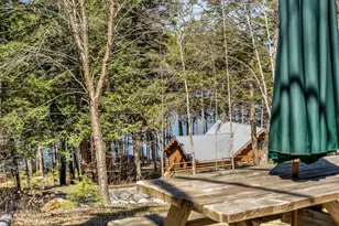 59 Fellows Cove Rd, Fayette, ME 04349 - Photo 86