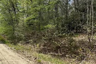 Lot 2 Morse District Road Road N, Steuben, ME 04680 - Photo 1