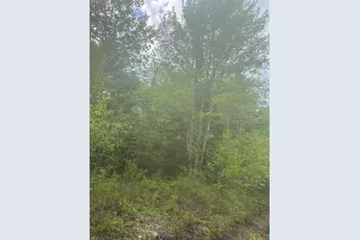 Lot 2 Morse District Road Road N, Steuben, ME 04680 - Photo 6