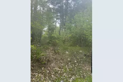 Lot 2 Morse District Road Road N, Steuben, ME 04680 - Photo 4