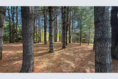 49 Hughes Road, Mapleton, ME 04757 - Photo 6