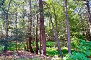 27 Go Camping Way, Old Orchard Beach, ME 04064 - Photo 28