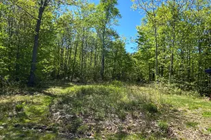 449 Mayfield Rd, Brighton Plt, ME 04920 - Photo 54
