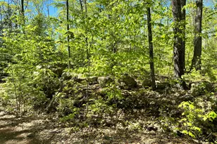 19 Grist Mill Rd, Naples, ME 04055 - Photo 24