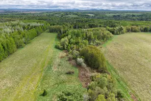 150 Howe Rd, Wade, ME 04786 - Photo 80