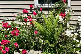 127 Swan Lake Ave, Belfast, ME 04915 - Photo 66