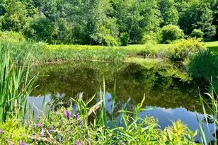 127 Swan Lake Ave, Belfast, ME 04915 - Photo 72